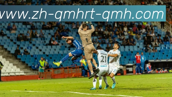 球盟会平台生态图